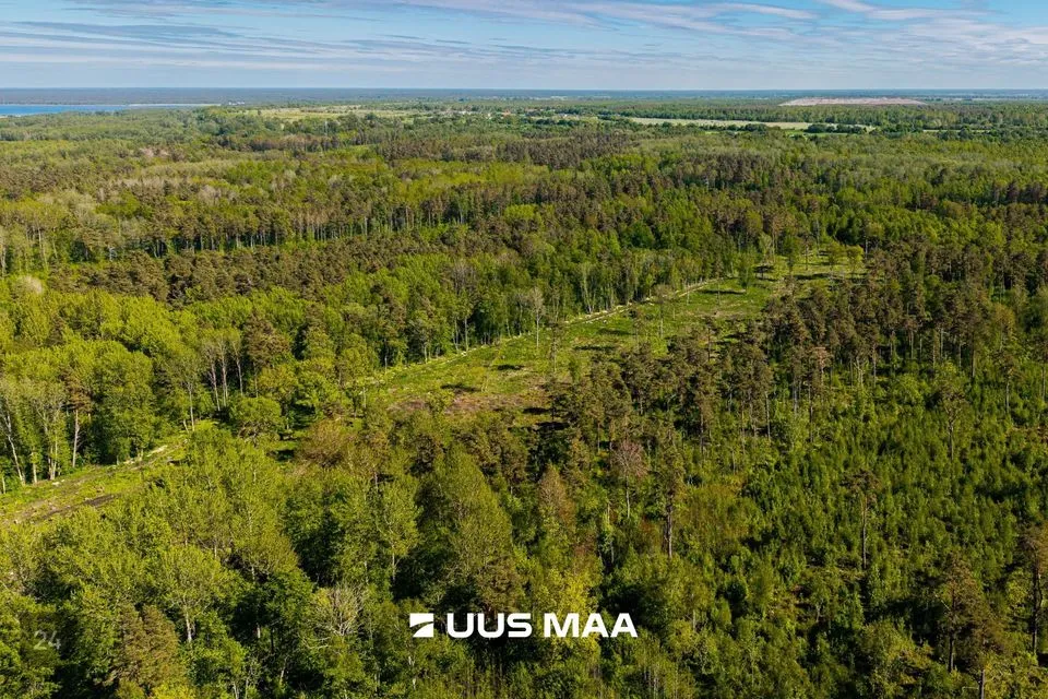 Земля жилой застройки, 8085 m² участок в Jõelähtme vald, Ülgase küla - фото 4