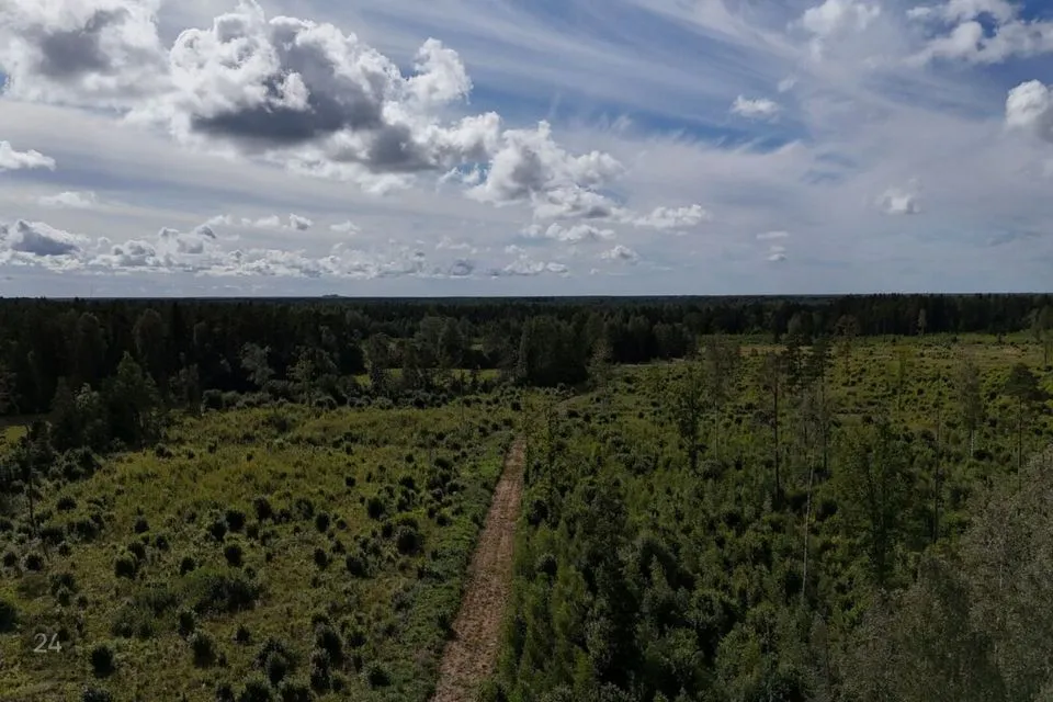 Maatulundusmaa, 51791 m² Maa - Lääne-Harju vald, Ohtu küla - foto 5