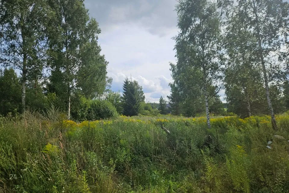 Elamumaa, 1519 m² Maa - Nõo vald, Uuta küla - foto 4