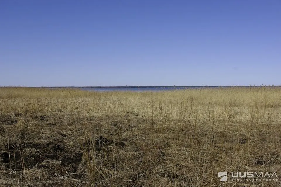 Cultivated land, 34300 m² land in Saaremaa vald, Paatsa küla - photo 3