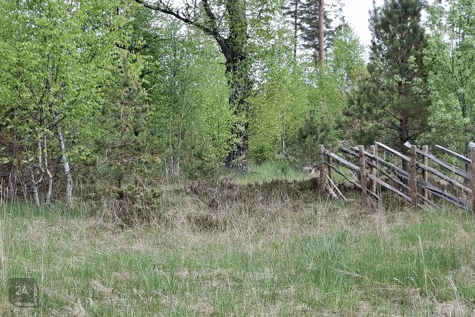 Elamumaa, 4504 m² Maa  -  Lääne-Nigula vald, Paslepa küla / Pasklep - foto 4