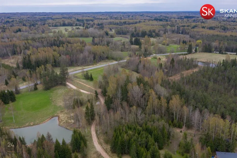 Cultivated land, 6441 m² land in Otepää vald, Nüpli küla - photo 5