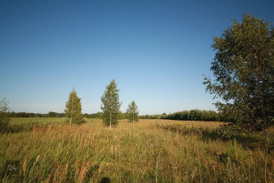Residential land, 14000 m² land in Pärnu linn, Papsaare küla - photo 3