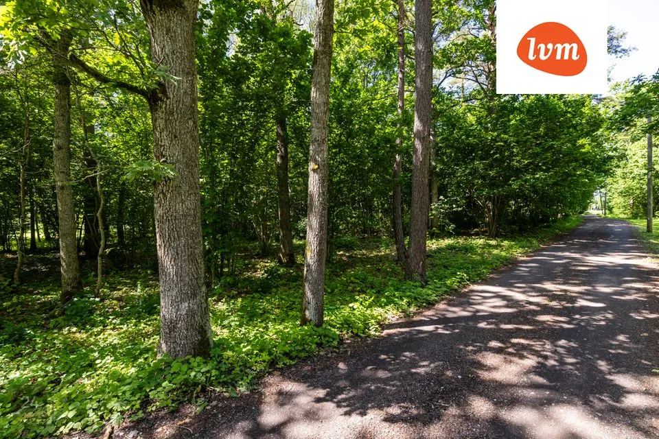 Cultivated land, 20727 m² land in Saue vald, Vanamõisa küla - photo 2