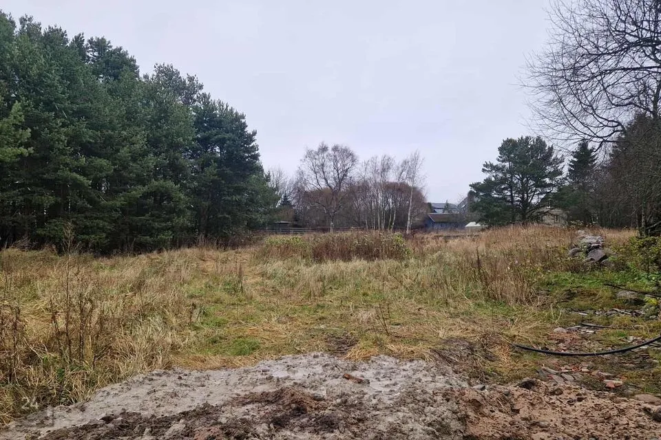 Земля жилой застройки, 2498 m² участок в Jõelähtme vald, Neeme küla - фото 2