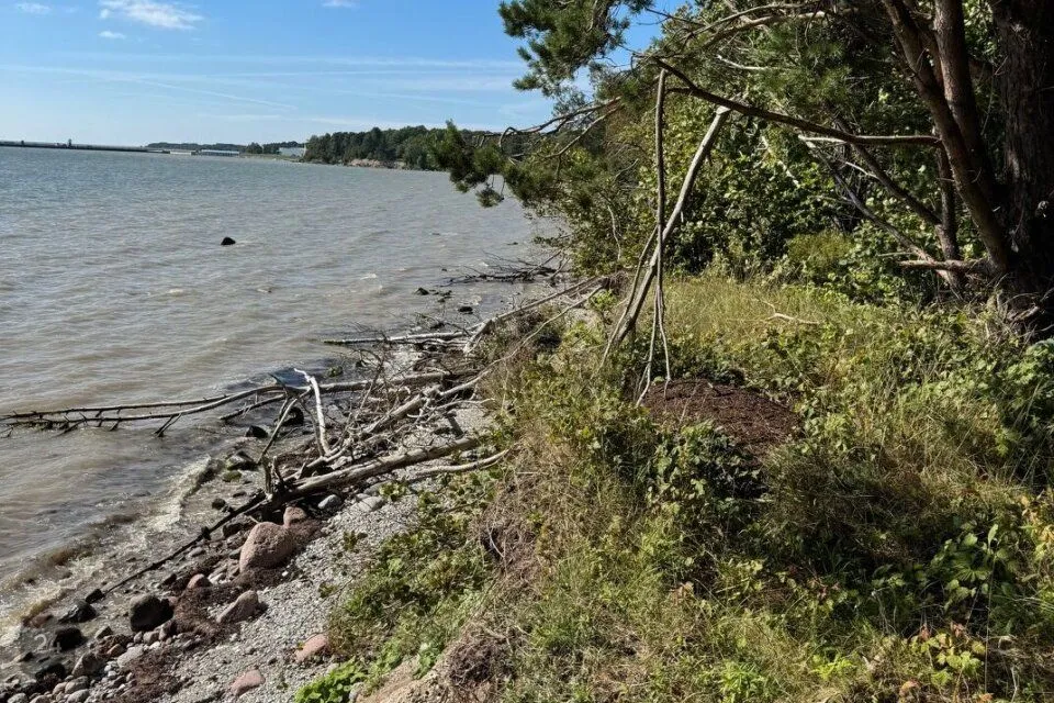 Elamumaa, 5505 m² Maa - Saaremaa vald, Mõntu küla - foto 3