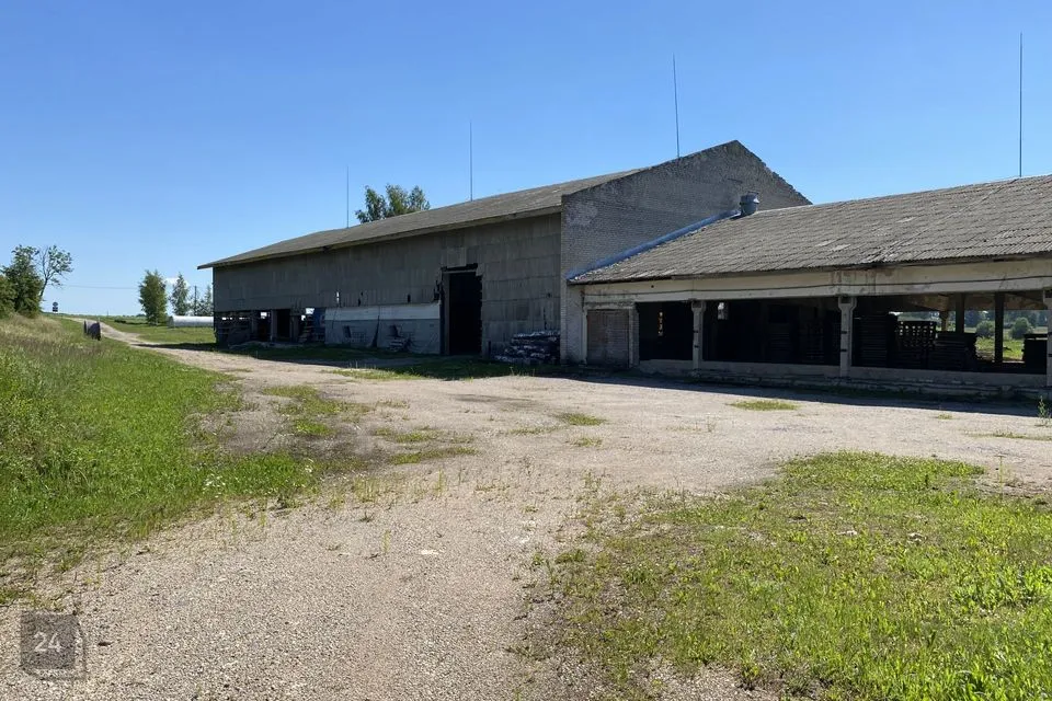 Tootmismaa, 47260 m² Maa - Antsla vald, Vaabina küla - foto 4