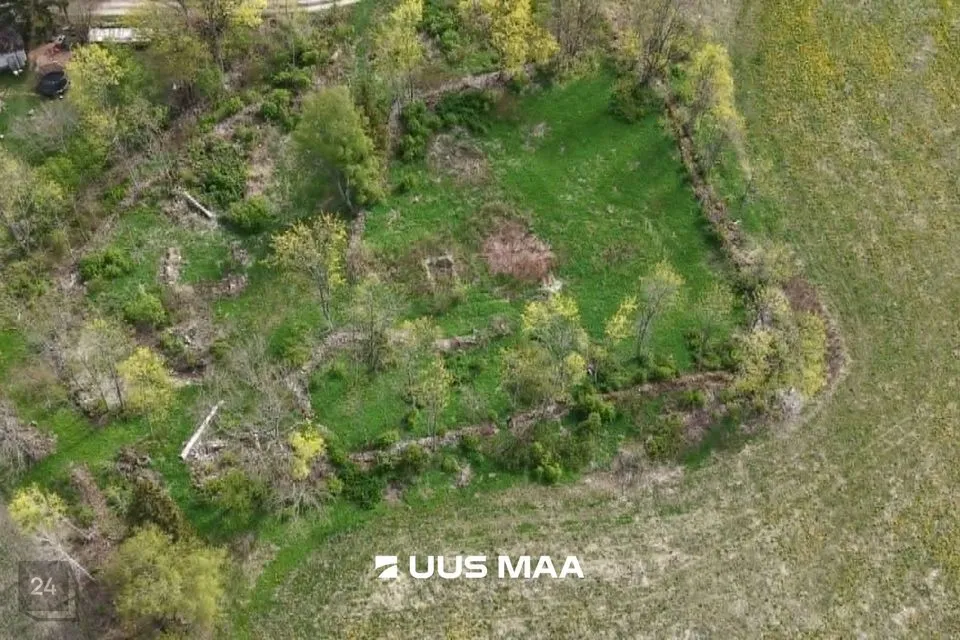 Maatulundusmaa, 29551 m² Maa  -  Saaremaa vald, Kapra küla - foto 4