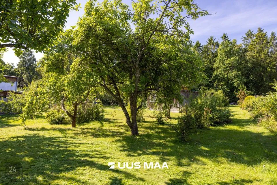 Elamumaa, 2218 m² Maa - Viimsi vald, Randvere küla - foto 4