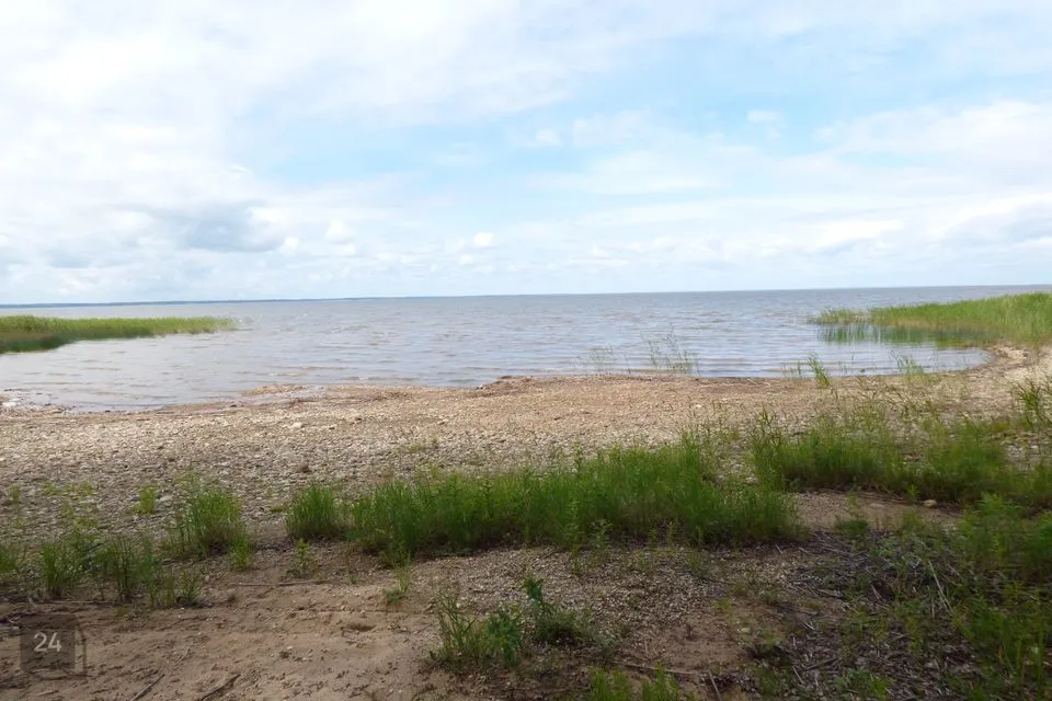 Maatulundusmaa, 7589 m² участок в Elva vald, Vehendi küla - фото 4