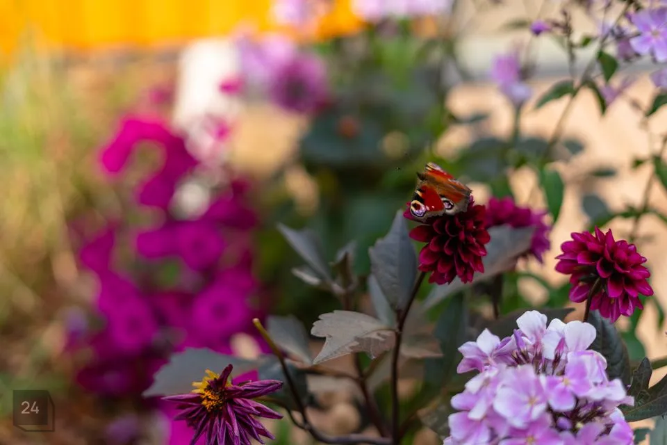 3-toaline Korter  -  Tallinn, Põhja-Tallinna linnaosa - foto 3