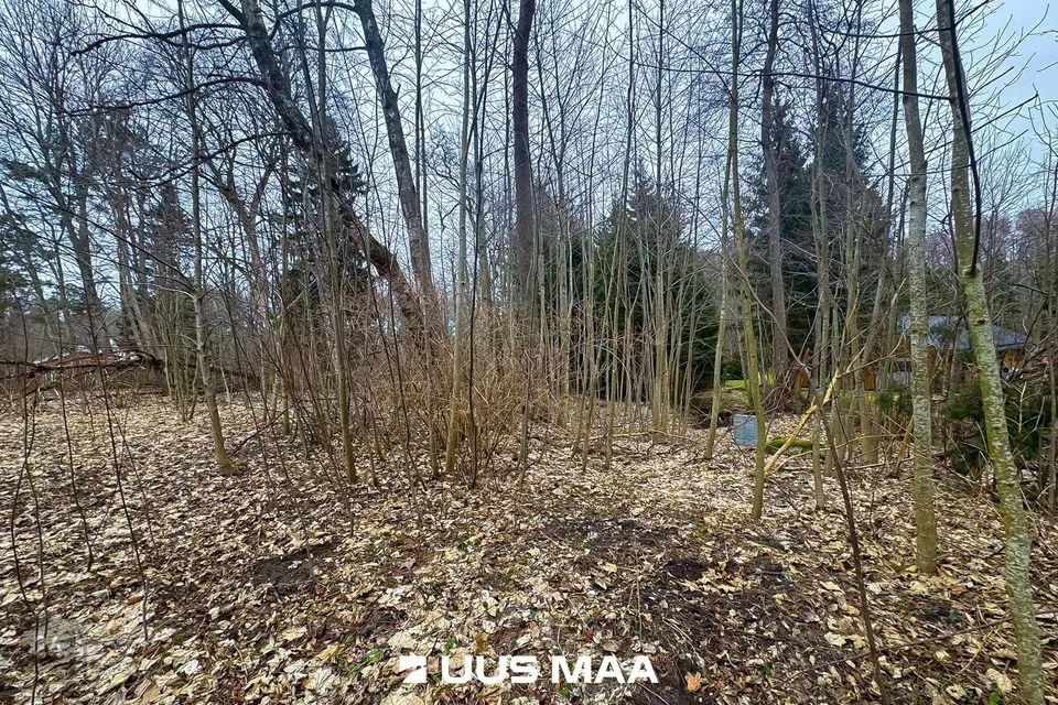Elamumaa, 3005 m² Maa - Lääne-Harju vald, Meremõisa küla - foto 4