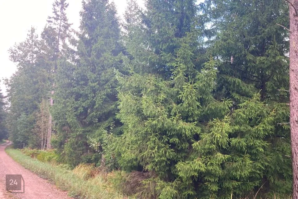 Maatulundusmaa, 29924 m² участок в Saaremaa vald, Pöitse küla