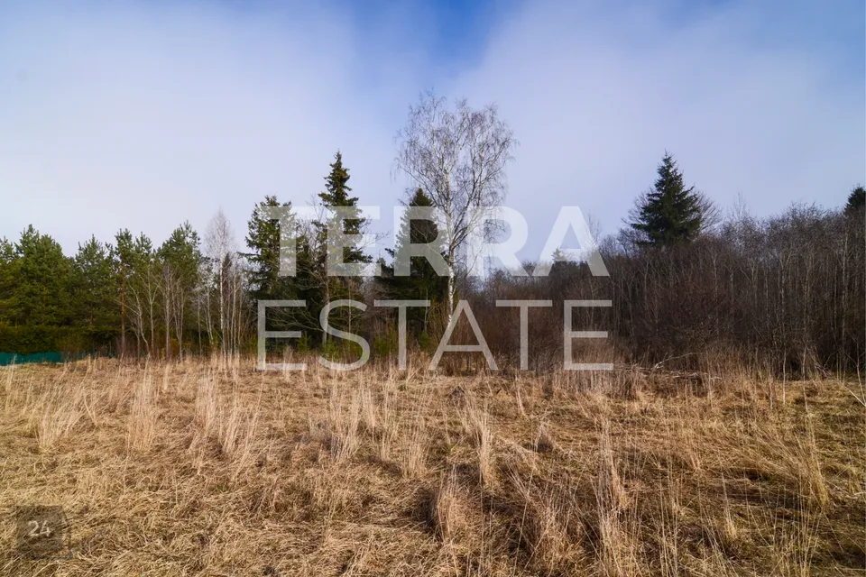 Elamumaa, 13093 m² Maa - Narva-Jõesuu linn, Perjatsi küla