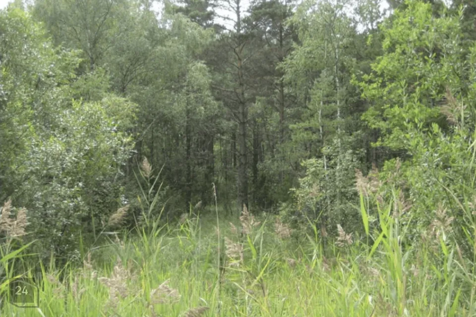 Maatulundusmaa, 12100 m² Maa  -  Saaremaa vald, Unimäe küla