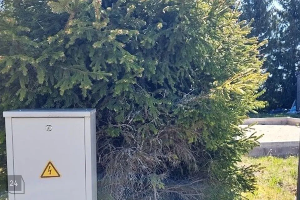 94 m² Maja  -  Lääne-Nigula vald, Koluvere küla - foto 4