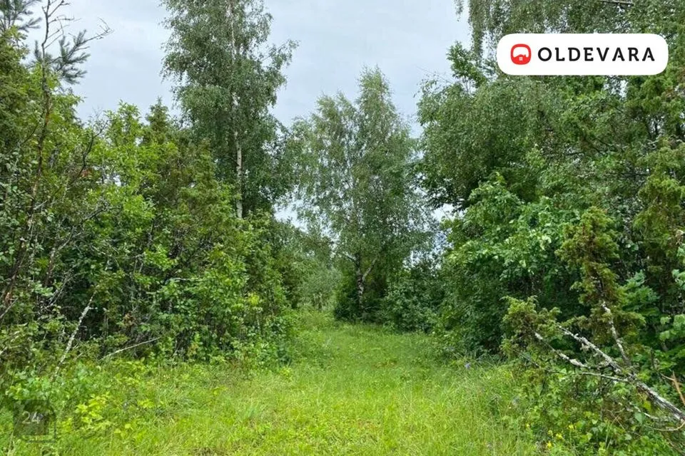 Земля жилой застройки, 12173 m² участок в Muhu vald, Rässa küla - фото 2