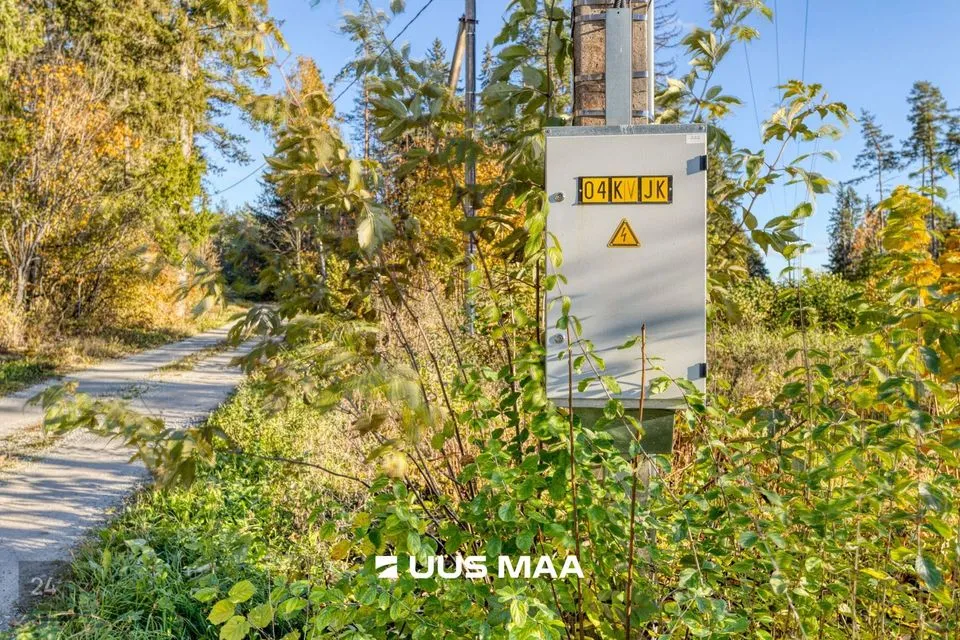 Maatulundusmaa, 24445 m² Maa - Lääne-Harju vald, Lehola küla - foto 4