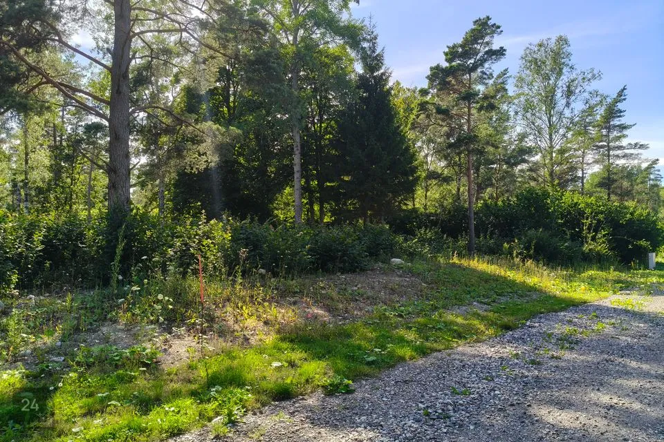 Elamumaa, 3000 m² Maa - Saaremaa vald, Upa küla - foto 4