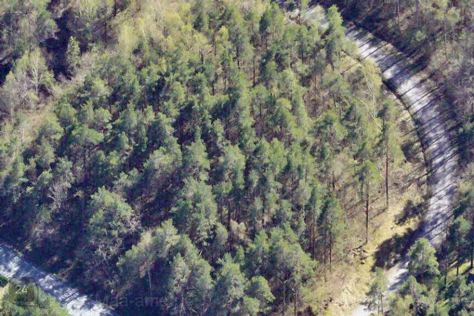 Elamumaa, 4385 m² Maa - Saaremaa vald, Muratsi küla - foto 2