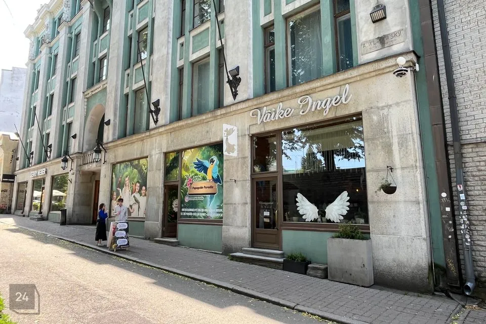 Teenindus, 176 m² Äripind  -  Tallinn, Kesklinna linnaosa - foto 2