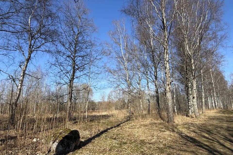 Земля жилой застройки, 1329 m² участок в Peipsiääre vald, Kallaste linn - фото 5