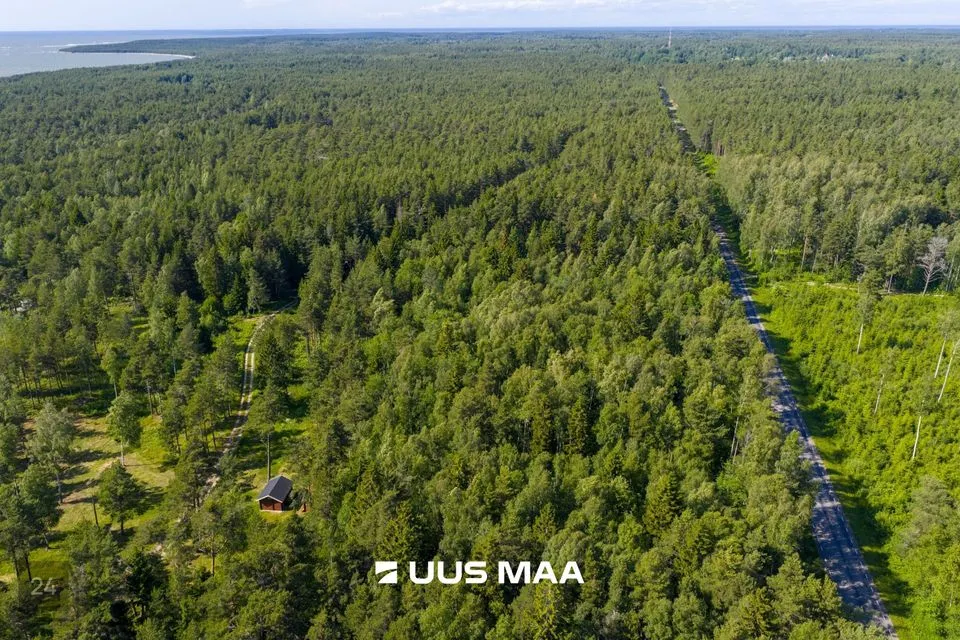 Maatulundusmaa, 5013 m² Maa  -  Lääne-Nigula vald, Elbiku küla / Ölbäck - foto 3