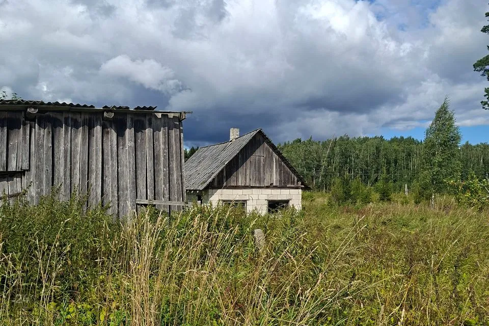 3-toaline Maja  -  Vinni vald, Rahkla küla - foto 4