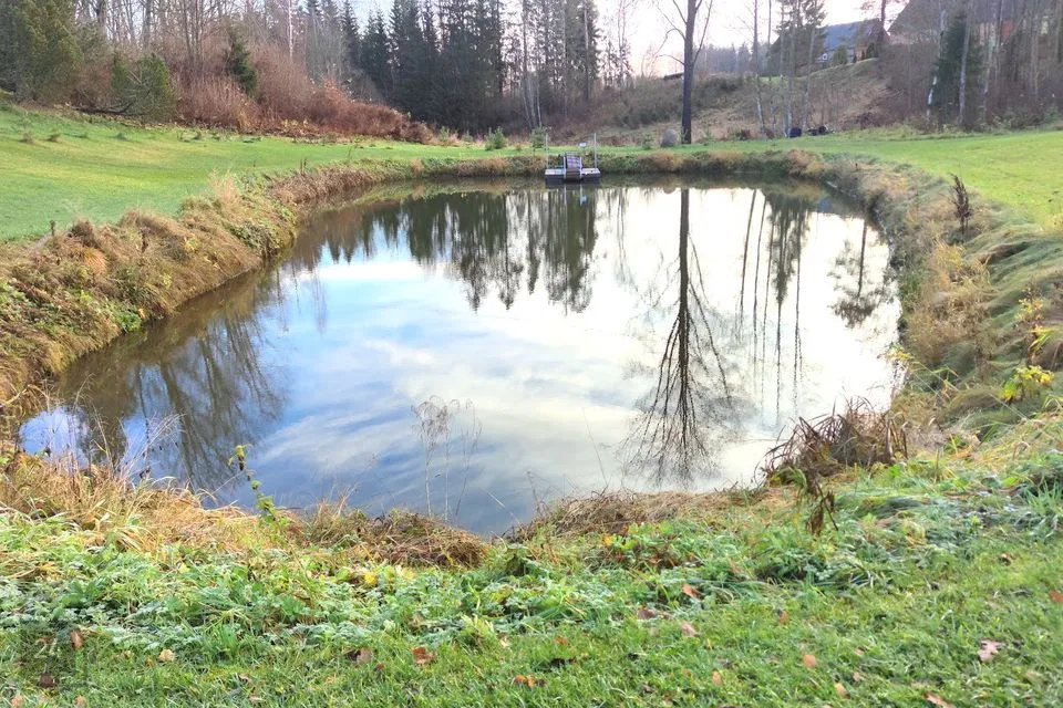 3-toaline Maja  -  Põlva vald, Metste küla - foto 4