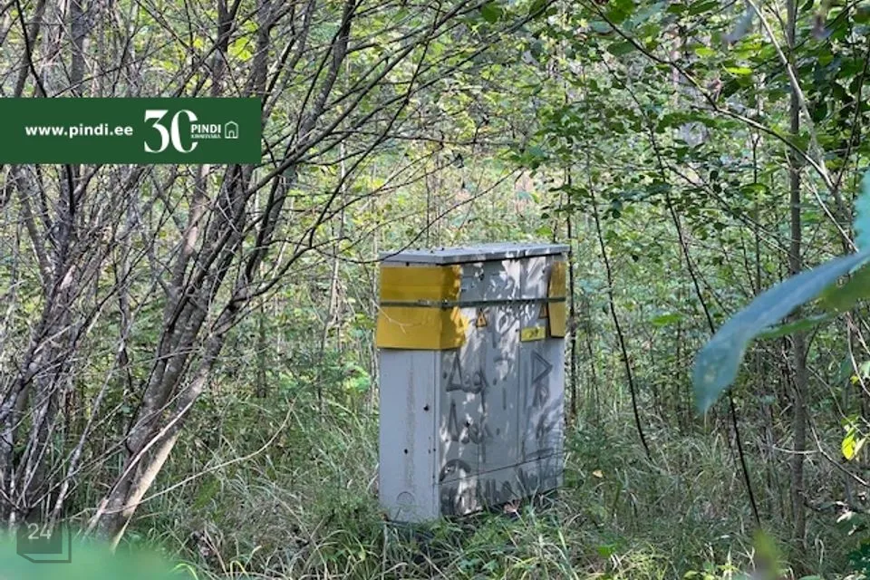 Elamumaa, 33629 m² Maa  -  Narva-Jõesuu linn, Narva-Jõesuu linn - foto 5