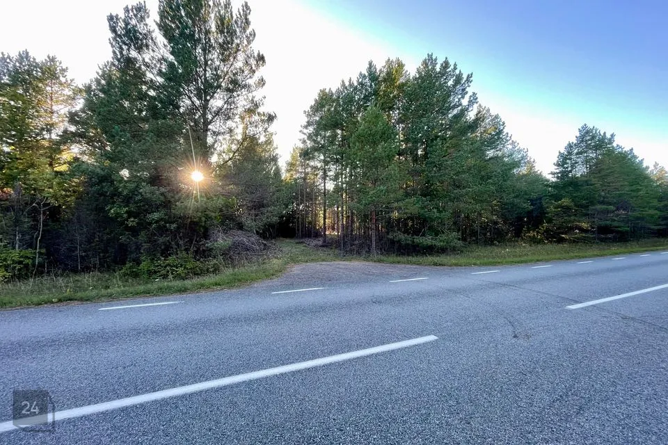 Maatulundusmaa, 67475 m² Maa - Saaremaa vald, Ninase küla - foto 3
