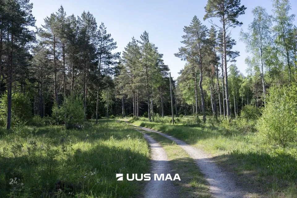 Земля жилой застройки, 7000 m² участок в Lääne-Nigula vald, Elbiku küla / Ölbäck - фото 4