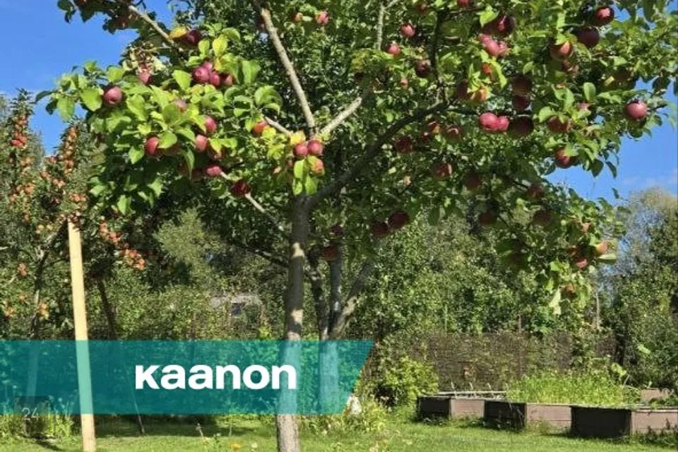 Maatulundusmaa, 499 m² Maa  -  Jõelähtme vald, Kallavere küla - foto 5