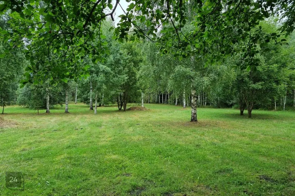 Transpordimaa, 15096 m² Maa  -  Häädemeeste vald, Reiu küla - foto 4