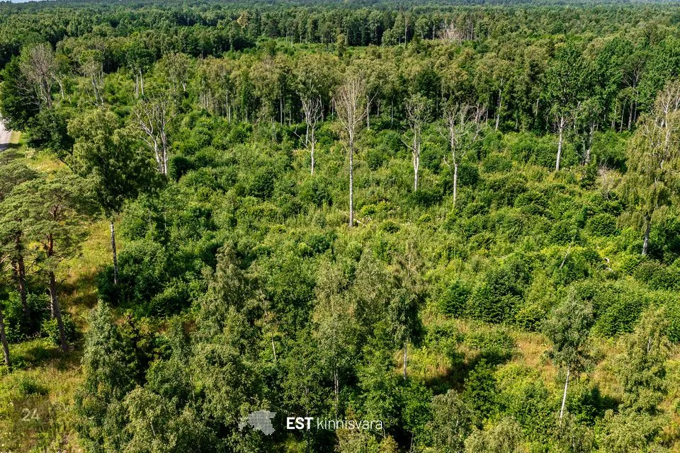 Maatulundusmaa, 11313 m² участок в Lääneranna vald, Rädi küla - фото 2
