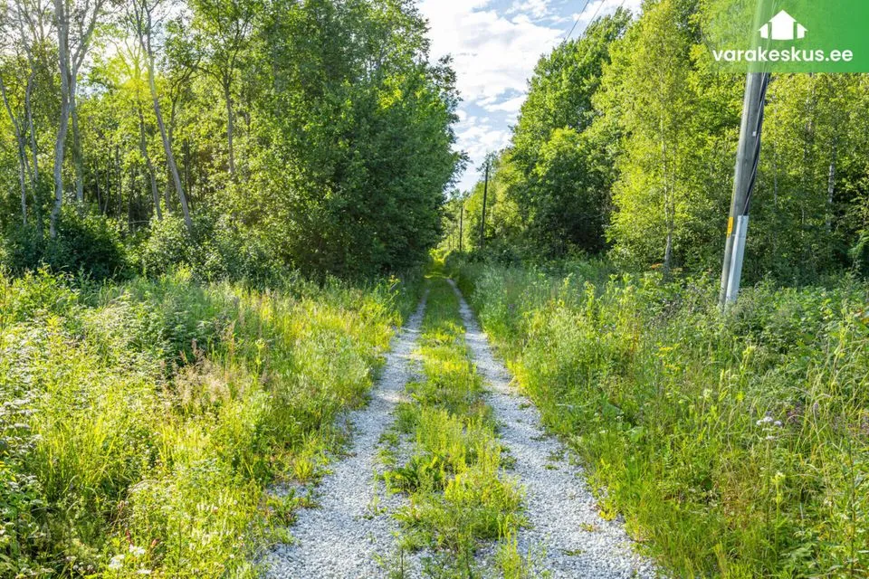 Maatulundusmaa, 20051 m² Maa - Saue vald, Püha küla - foto 4