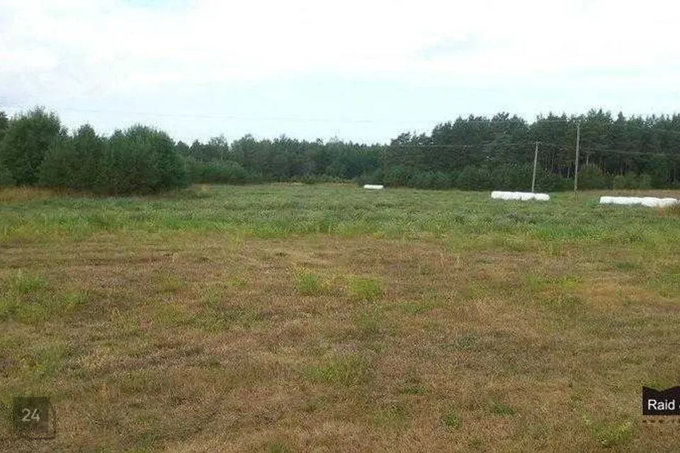 Elamumaa, 5025 m² Maa - Saaremaa vald, Laugu küla - foto 4