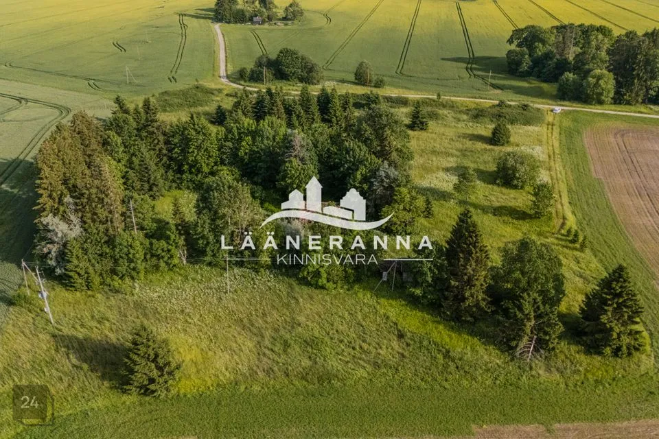 Земля жилой застройки, 7708 m² участок в Türi vald, Ollepa küla - фото 5
