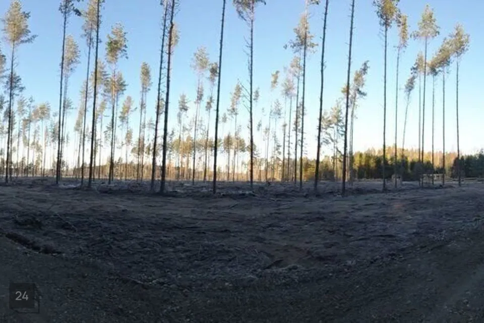 Земля жилой застройки, 2500 m² участок в Alutaguse vald, Kuru küla - фото 3