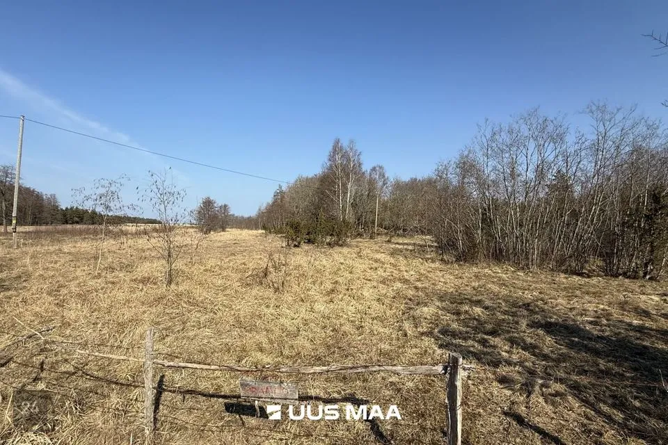 Cultivated land, 14191 m² land in Saaremaa vald, Oitme küla - photo 2