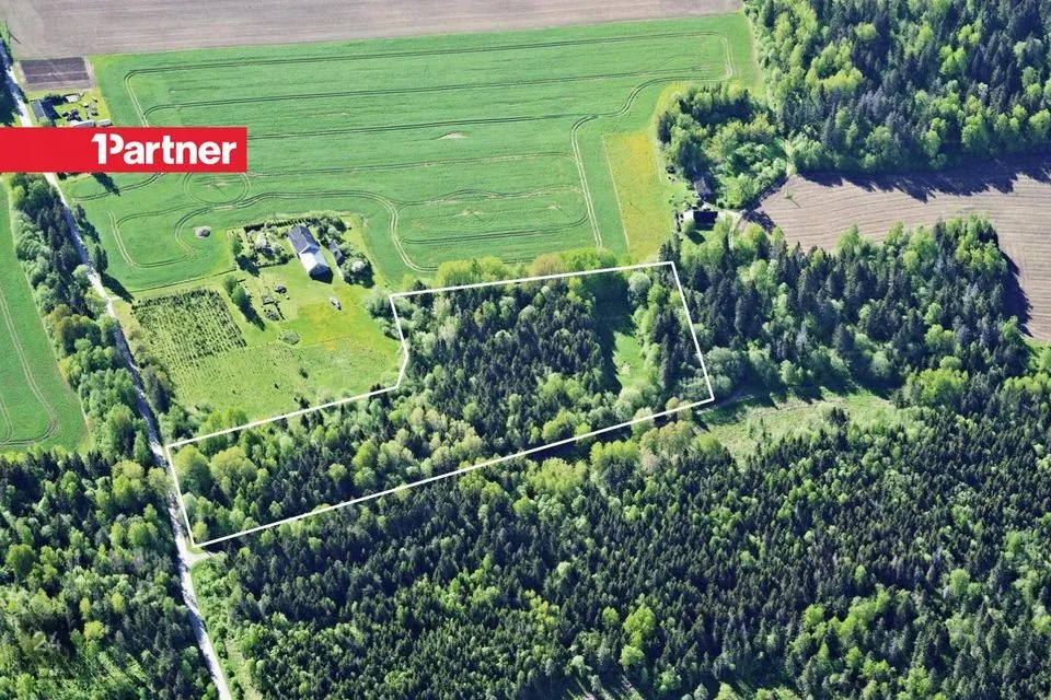 Maatulundusmaa, 25839 m² Maa  -  Tapa vald, Põdrangu küla - foto 4