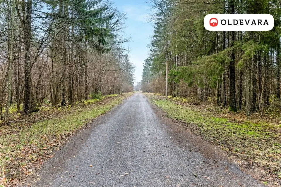 Elamumaa, 2389 m² Maa - Põhja-Pärnumaa vald, Libatse küla - foto 5