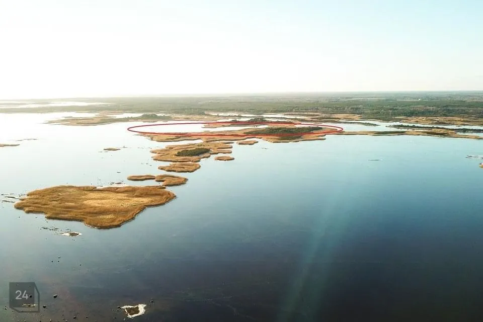 Maatulundusmaa, 98100 m² Maa - Saaremaa vald, Saareküla - foto 3