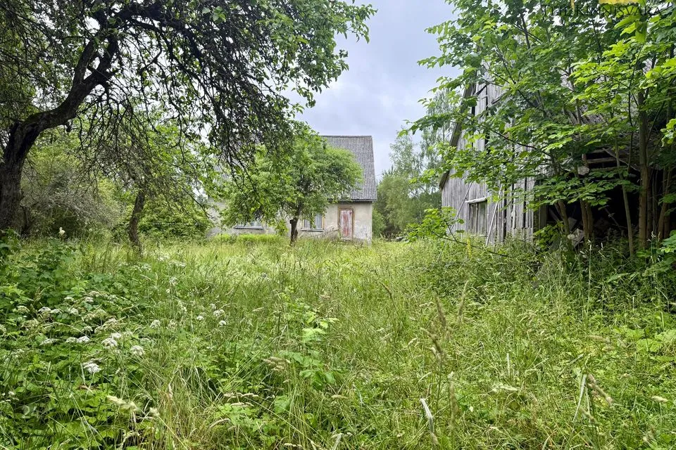 4-комнатная дом в Märjamaa vald, Haimre küla - фото 4