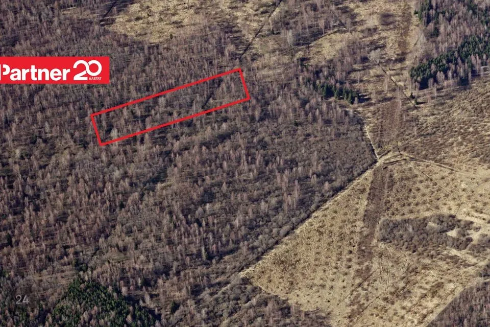 Maatulundusmaa, 7011 m² участок в Peipsiääre vald, Kasepää alevik - фото 4