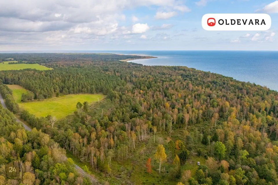 Elamumaa, 12034 m² Maa - Saaremaa vald, Mõntu küla - foto 4