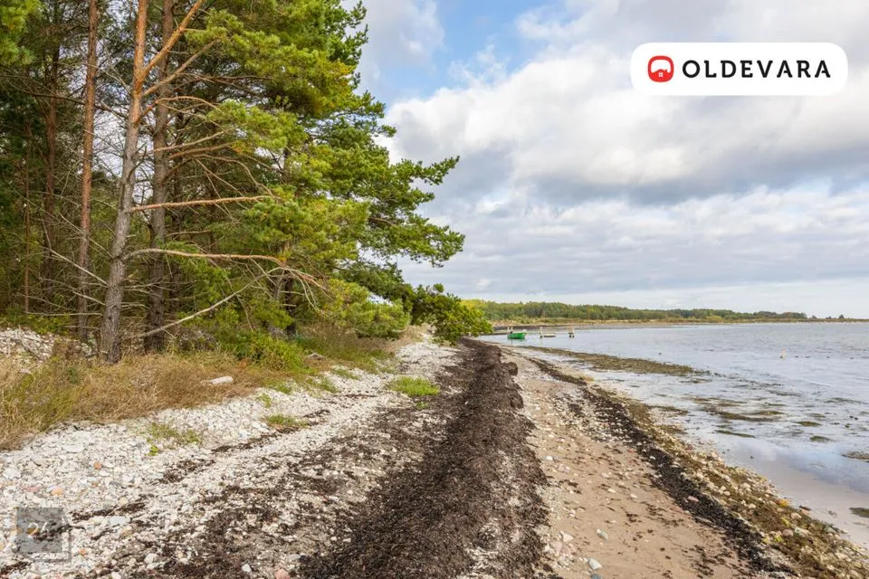 Elamumaa, 12034 m² Maa - Saaremaa vald, Mõntu küla - foto 2