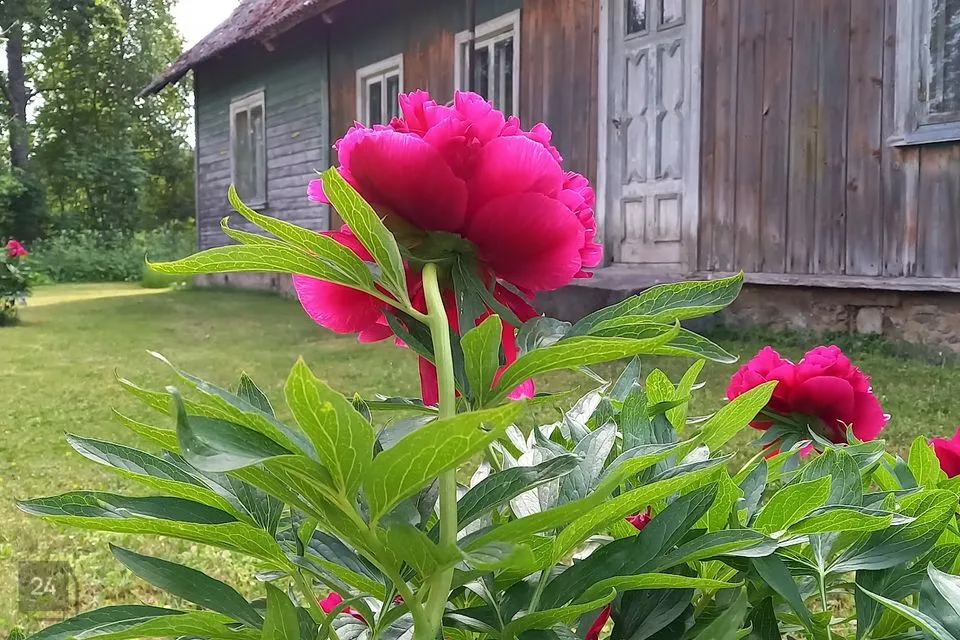4-toaline Maja - Hiiumaa vald, Viilupi küla - foto 5