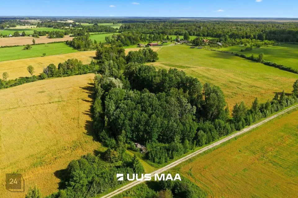 Maatulundusmaa, 37622 m² Maa  -  Pärnu linn, Männikuste küla - foto 3