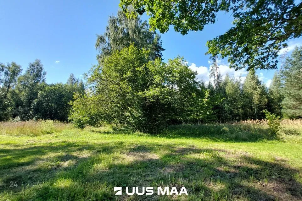 Maatulundusmaa, 40636 m² Maa  -  Saarde vald, Kanaküla - foto 4